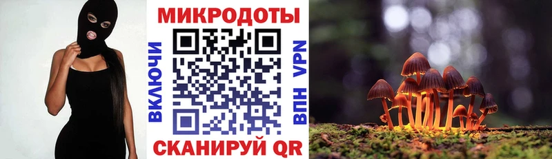сколько стоит  Артём  MEGA онион  Псилоцибиновые грибы GOLDEN TEACHER 